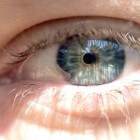 Netvliesloslating: Loslaten van netvlies (retina) van oog