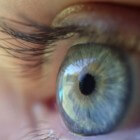 De werking van het oog