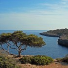 Mallorca, eiland voor de ontdekker