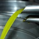 De geneeskracht van olijfolie