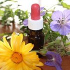 Homeopathie: Klassiek & klinisch