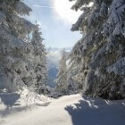 Diedamskopf - skigebied in Vorarlberg voor de hele familie