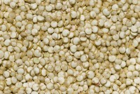 Quinoa / Bron: Pom, Wikimedia Commons (CC BY-SA-3.0)