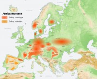 Verspreiding arnica in Europa / Bron: Abalg, Wikimedia Commons (GFDL)