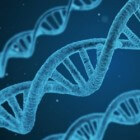 Wat is genetica? De basis van het DNA uitgelegd