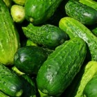 Is komkommer gezond?